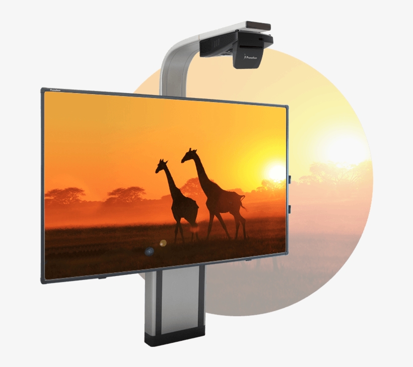 Activboard Touch Adjustable Wall Mount System - Wilderness Of Wildlife Tourism, transparent png download