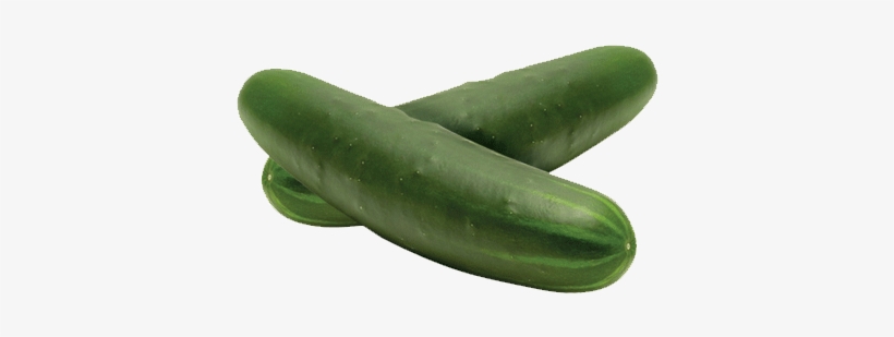 Pepino Americano - Pepino Png, transparent png download