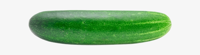 Pepino - Cucumber, transparent png download