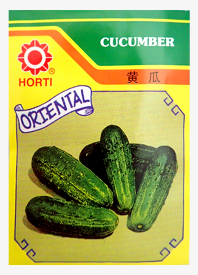 World Toilet Day, transparent png download