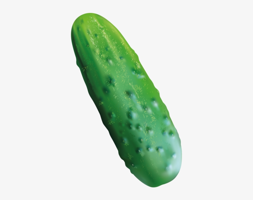 Cucumber - Curious Feast: 100 Postcards By 10 Artists, transparent png download