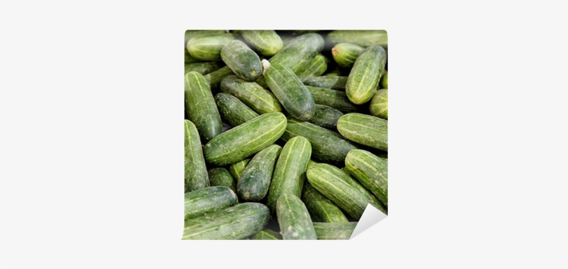 Pepino - Cucumber - Cetriolo - Gurke Wall Mural • Pixers® - Cucumber, transparent png download