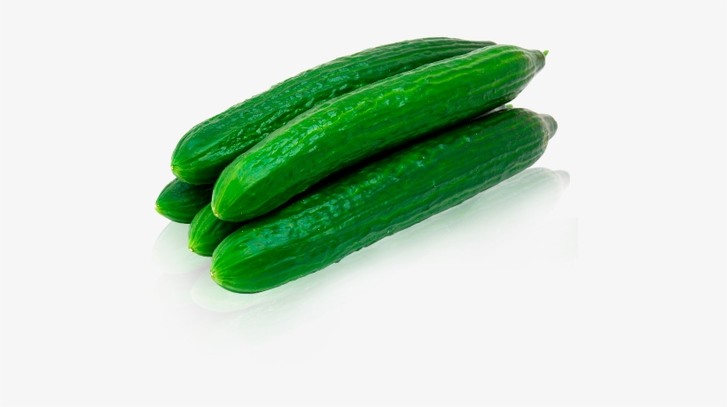 Pepino Bio - Burpless #26 Hybrid Cucumber Seeds, transparent png download
