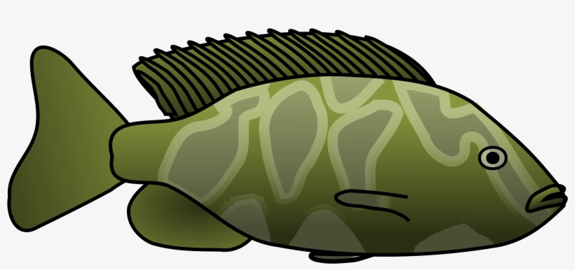 Big Image - Green Fish Clipart, transparent png download