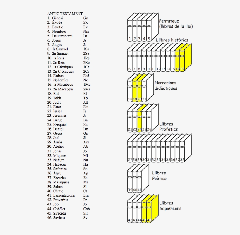 La Bíblia Hebraica O Tanak - Kimmel Center For The Performing Arts, transparent png download
