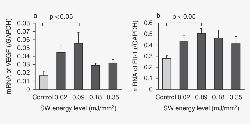 Effects Of Shock Wave Therapy On Mrna Expression In - Common Fig, transparent png download