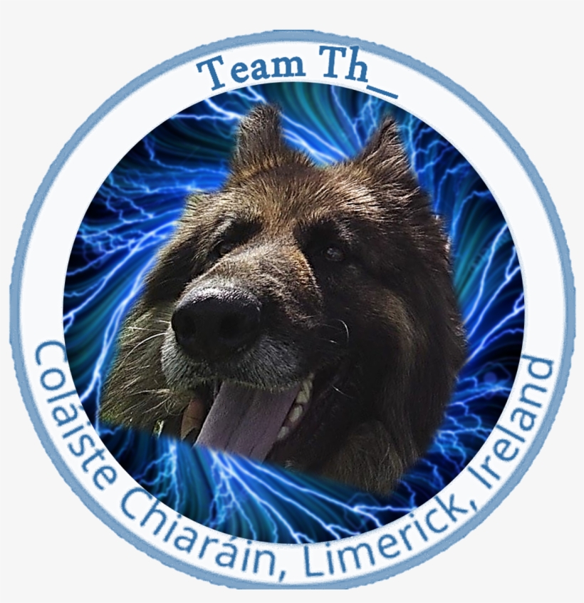 William Fenlon - Shiloh Shepherd Dog, transparent png download