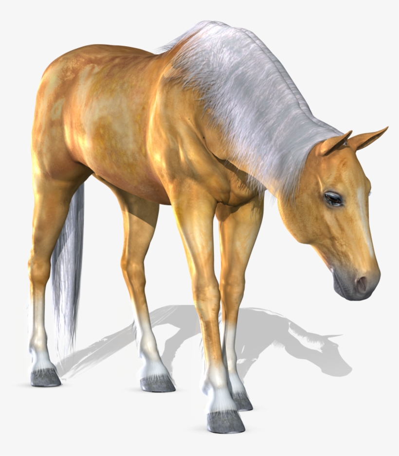 Horse Transparent Png Sticker - Horse 3d Png, transparent png download