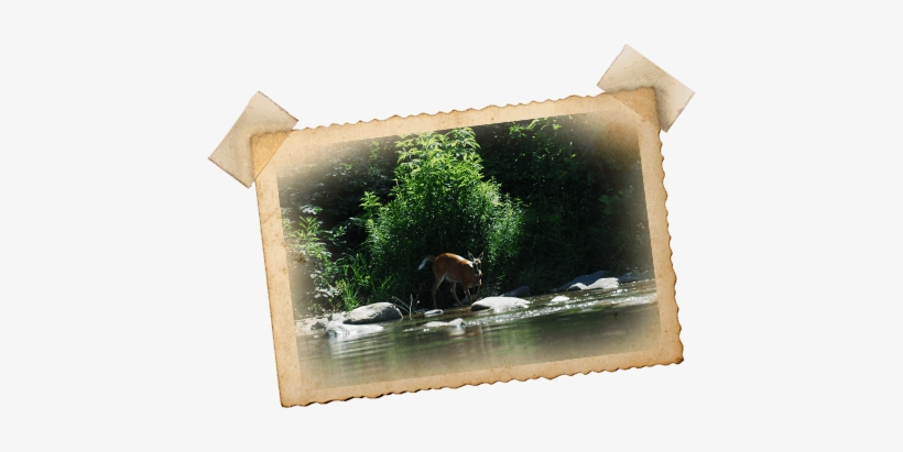 For A Custom Package, Please Call 1 800 Usa Raft Or - French Broad River, transparent png download