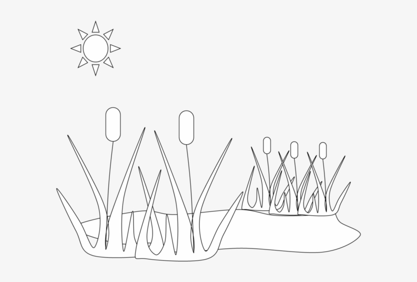 Clip Arts Related To - Ponds Habitat Worksheets For Grade 3, transparent png download