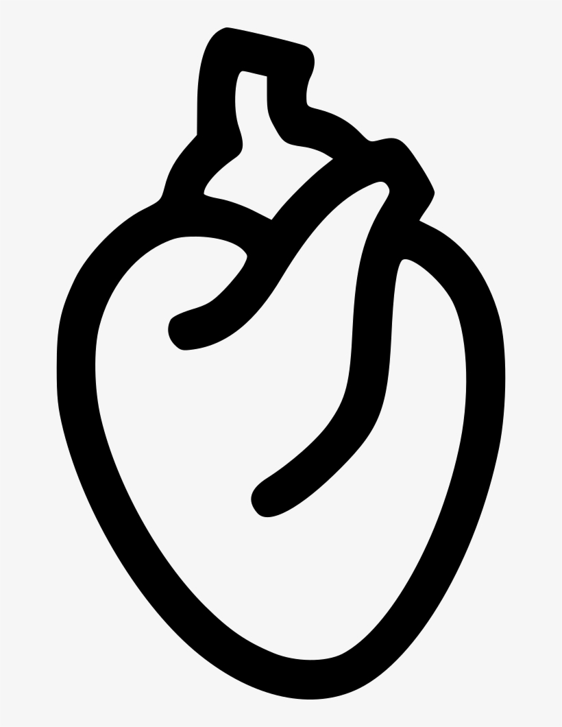 Heart Organ - - Heart Organ Icon Png, transparent png download