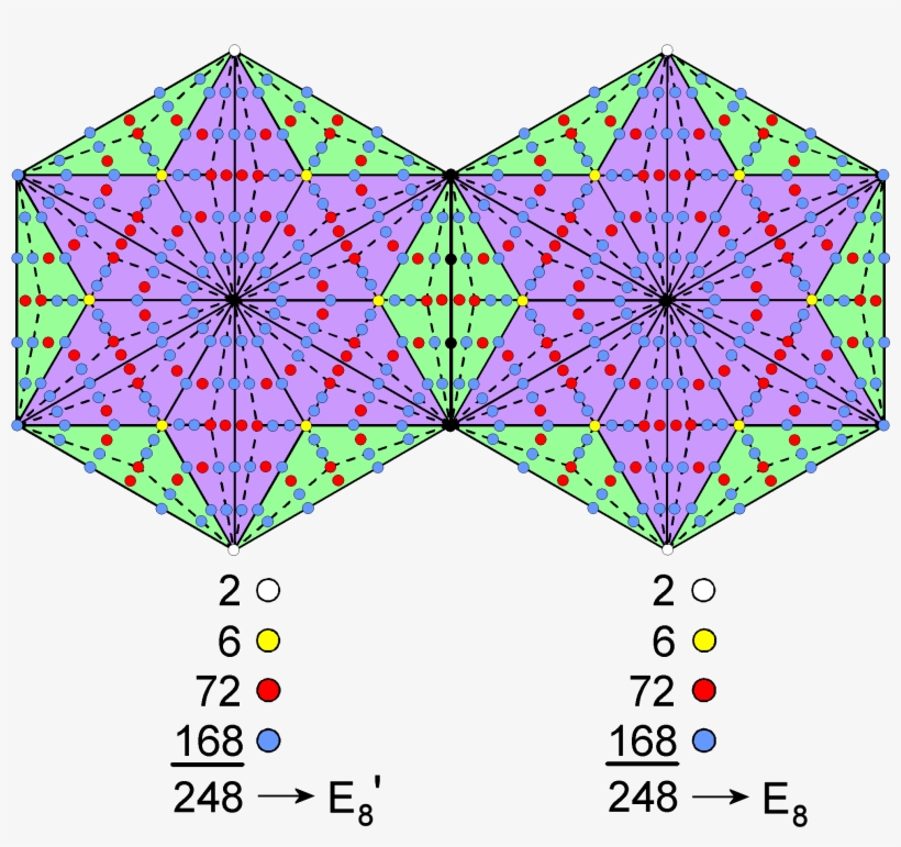 Two Joined Type C Hexagons Embody 496 Roots Of E8xe8 - Yod, transparent png download