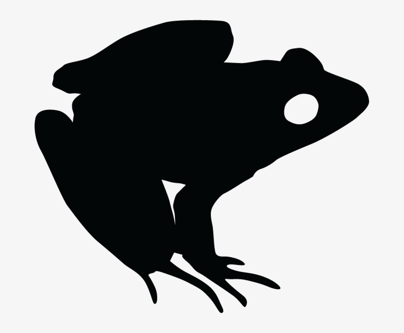 Frogs & Toads - Bufo, transparent png download