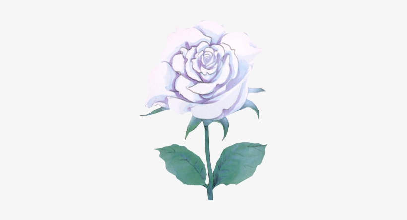 Rosa Blanca Render, transparent png download