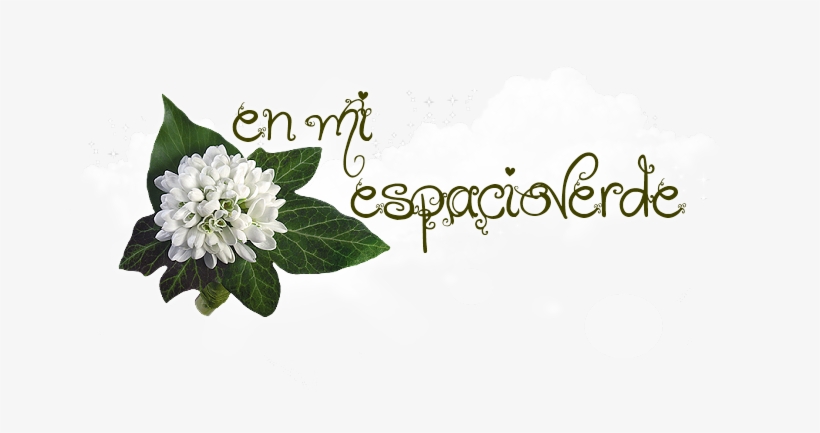 Mi Espacio Verde - Quartos De Bebe Decorados, transparent png download