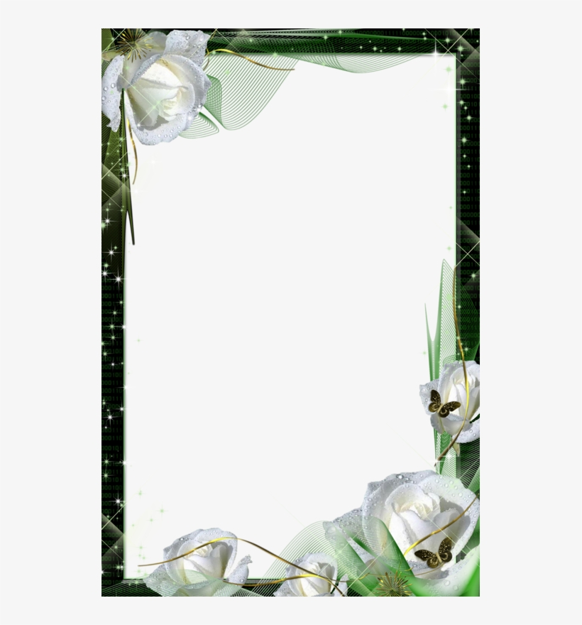 Фото, Автор Bagira На Яндекс - White Roses, transparent png download