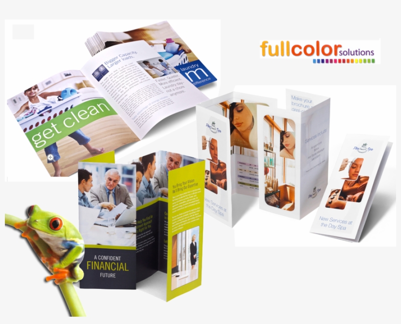 Brochures - Guiding Curriculum Development: The Need To Return, transparent png download