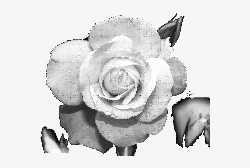 Pilar Roman Porras, Psicoterapeuta Gestalt Acreditada - Custom Crest Pp91c-5d 4 Color Process Sublimated Coolie, transparent png download