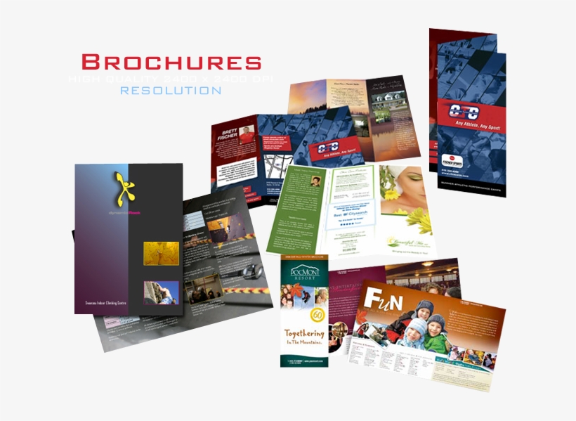 Brochure Printing Service Pasadena - A6 Portrait Leaflet Holder - Wall Mounted, transparent png download