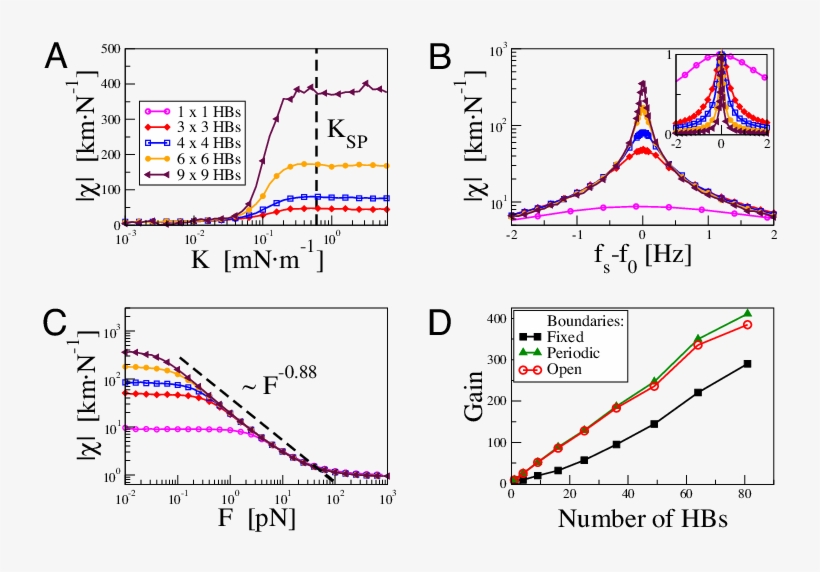 Sensitivity Of Coupled Hair Bundles For Periodic Forcing - Diagram, transparent png download