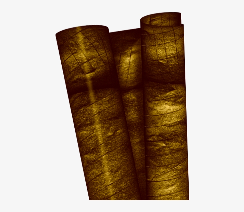 Amanhã É Outro Dia, transparent png download