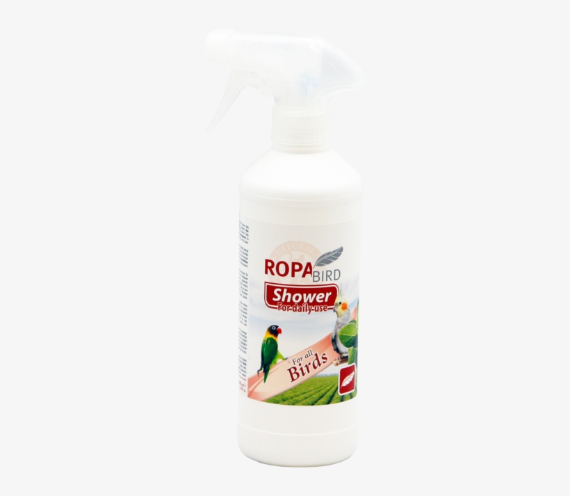 Ropa Bird Shower - Clothing, transparent png download
