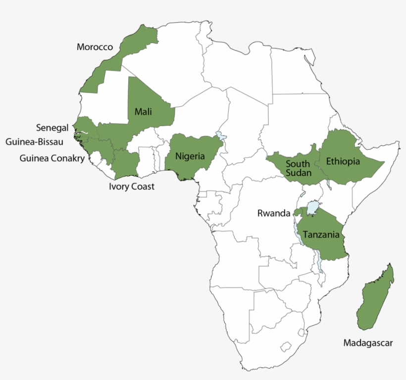 For More Information About Triple A Click Here - Cinturón De La Meningitis, transparent png download