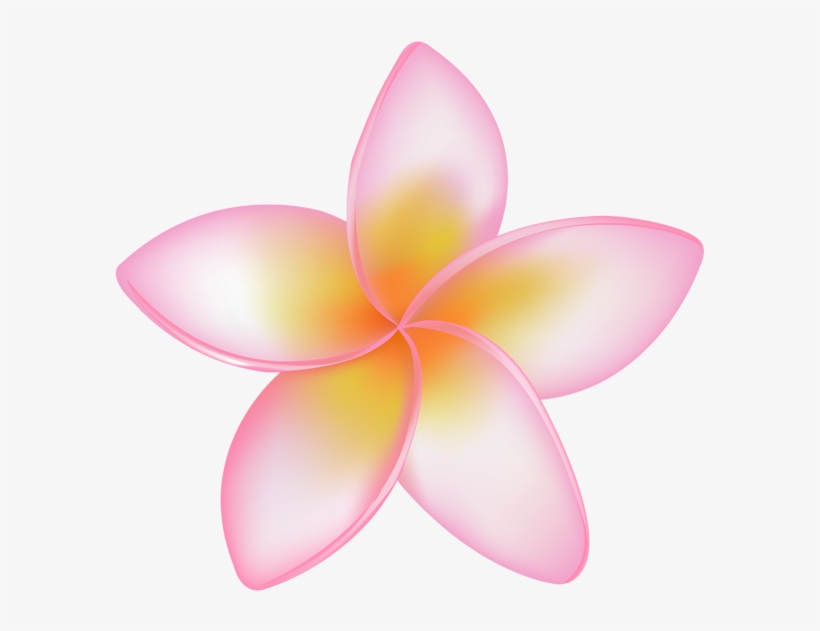 0, - Vector Graphics, transparent png download