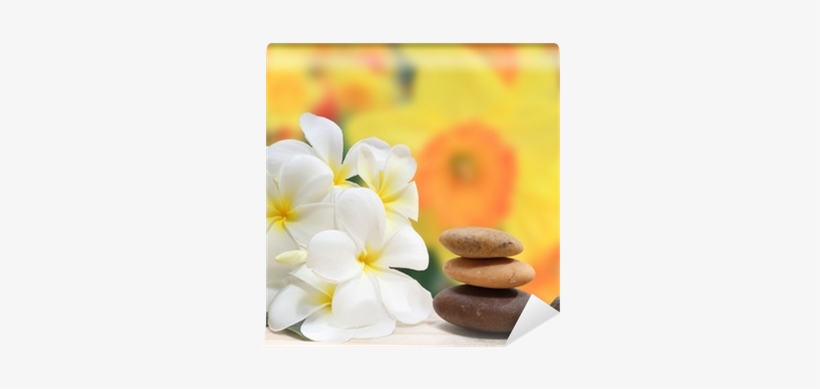 Zen Spa Concept Background - Frangipani, transparent png download