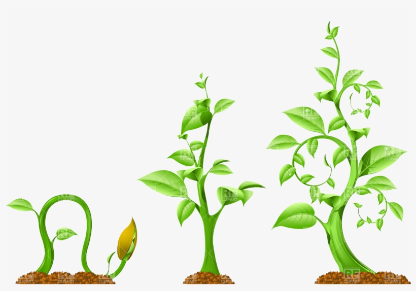 Plant Growth Download Royalty Free Vector File Eps - Plant Growth And Sunlight, transparent png download