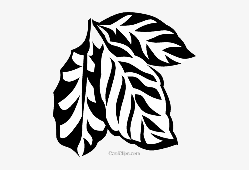 Coffee Plant Royalty Free Vector Clip Art Illustration - Clip Art, transparent png download