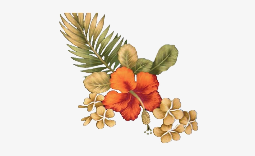 Hawaii, transparent png download