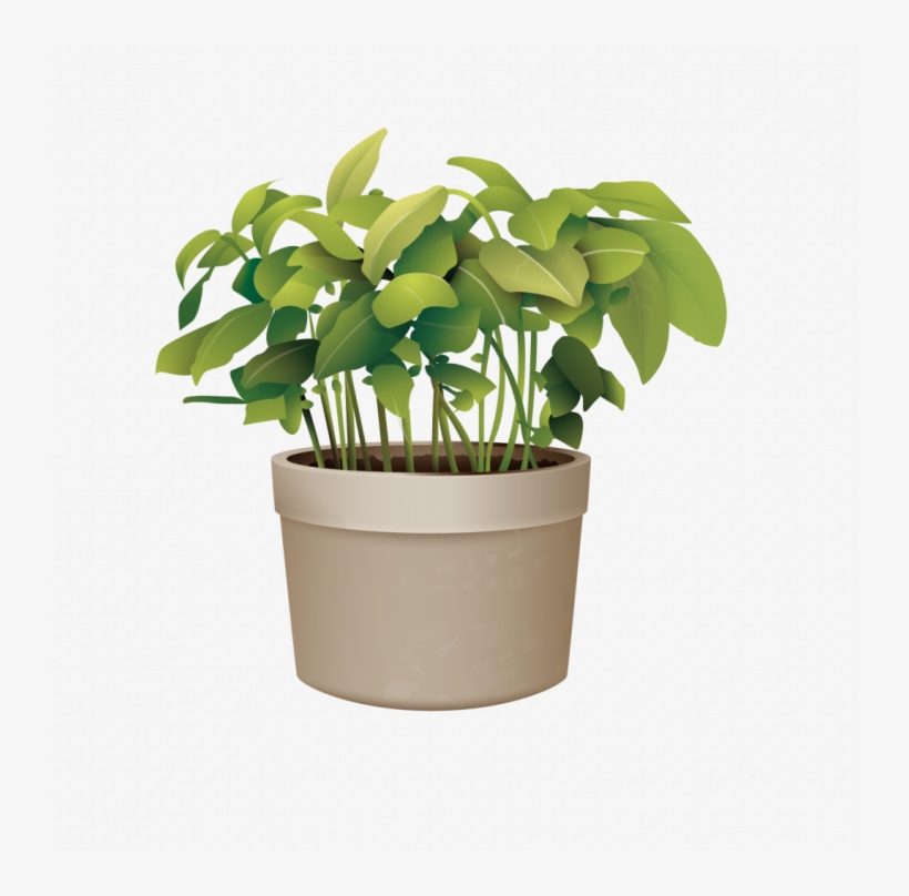 Pictures Of Potted Plants Best Of Flowerpot Plant Vector - Plant Pot Vector Png, transparent png download