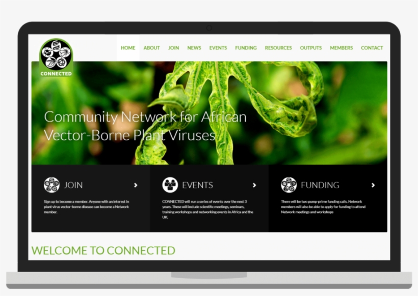 Connected Community Network For African Vector-borne - Online Advertising, transparent png download