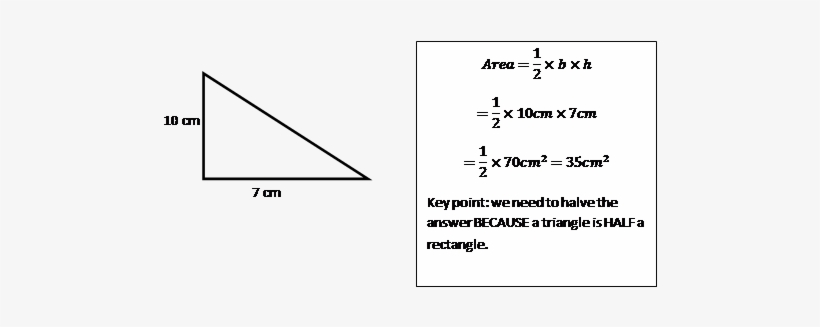 Mathslearn Revision Pages For Gcse On Finding The Area - Darkness, transparent png download
