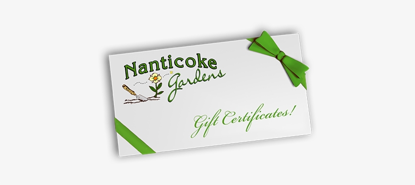 Gift, transparent png download