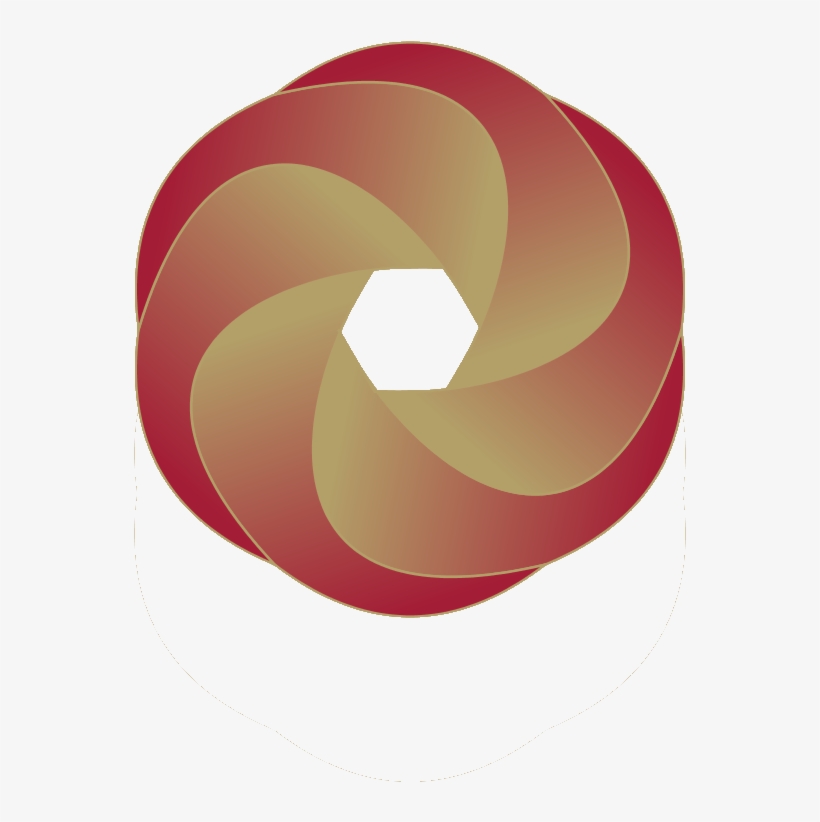 Vector Workshop Vector - Circle, transparent png download