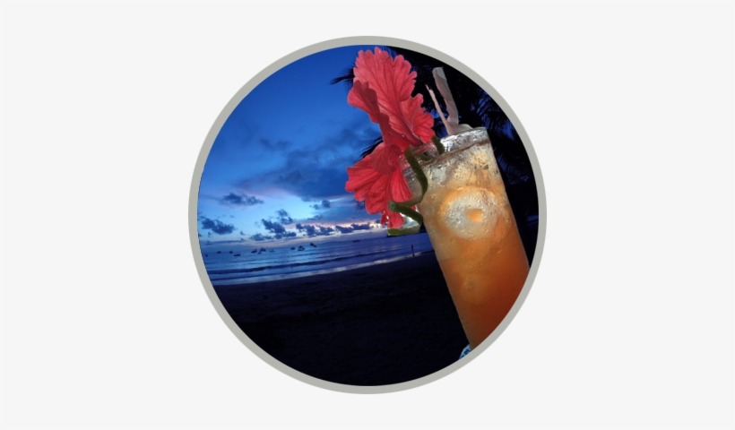 Location - Playa Herradura, transparent png download