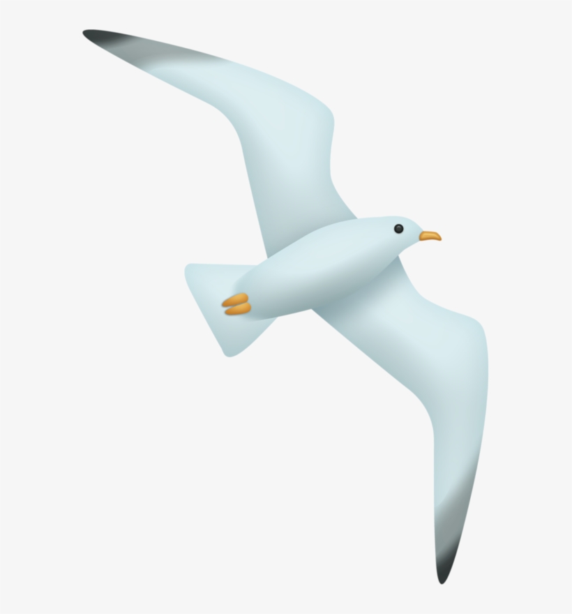Фото, Автор Ladylony На Яндекс - Franklin S Gull, transparent png download