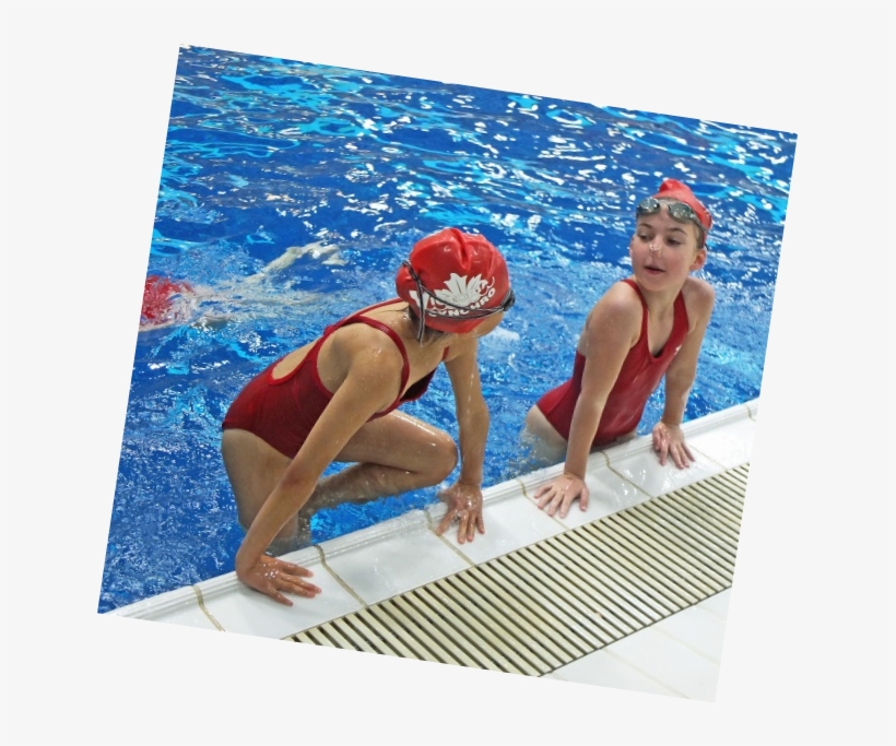 They Showed Off Their Swimming And Synchro Skills For - Featherdale Wildlife Park, transparent png download