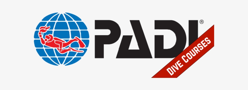 Diving Courses Takatuka Sipalay - Padi Adventure Diver, transparent png download