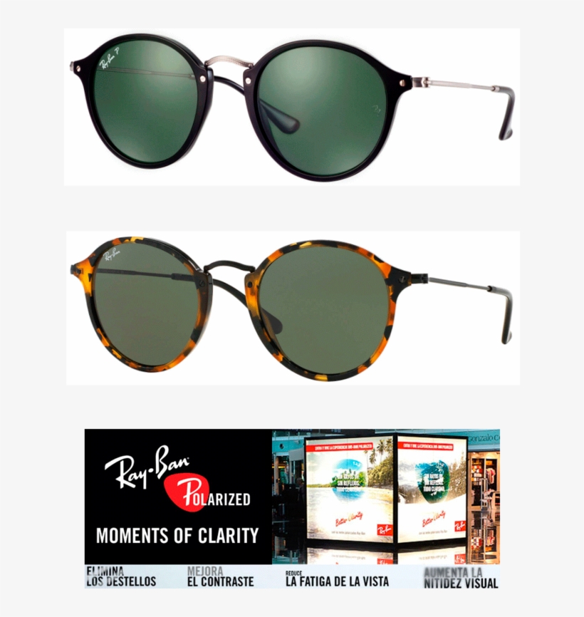 Ray Ban Rb2447 Round Fleck Polarizados - Tortoiseshell Ray Ban Sunglasses, transparent png download