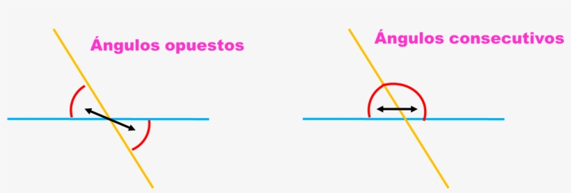 En Este Desafío Trabajarás Con Los Ángulos Opuestos - Law, transparent png download
