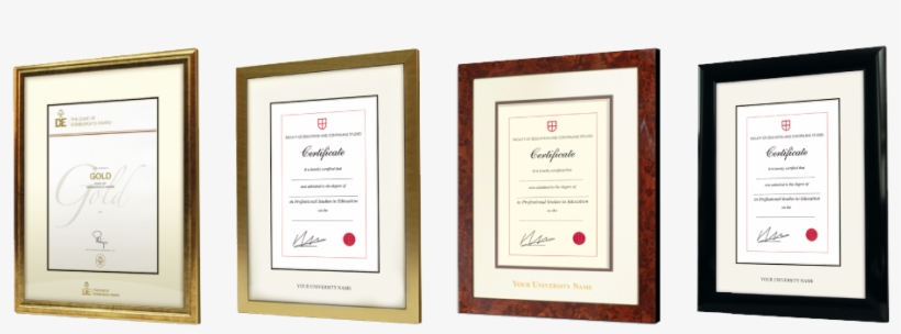 View Frame Examples - Duke Of Edinburgh Award Bronze Certificate, transparent png download