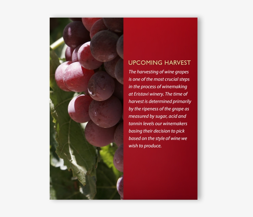 Eristavi Havest - Grape, transparent png download