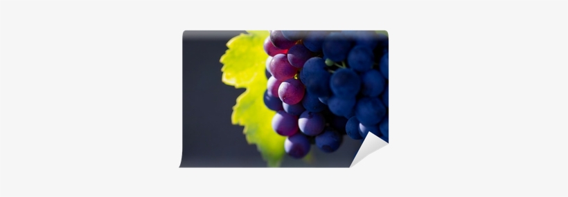 Grapes, transparent png download