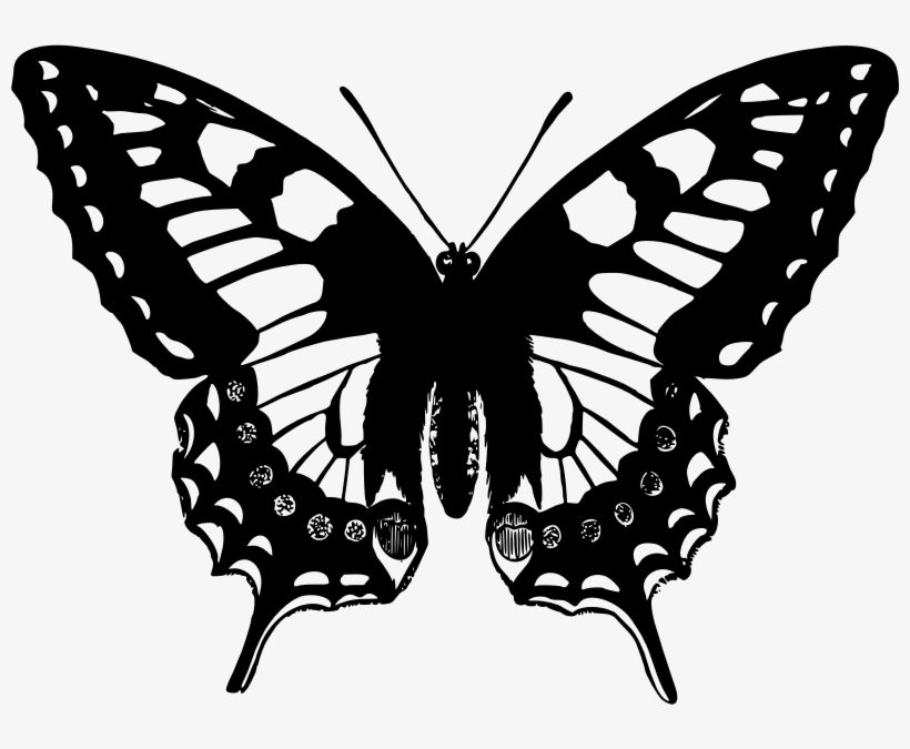 Medium Image - Butterfly Papilio Machaon, transparent png download