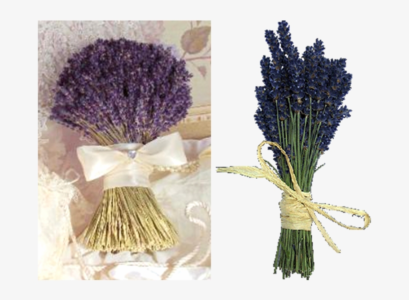 Ramo Novia Azul Lavanda - Buchet De Mireasa Lavanda, transparent png download