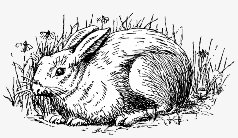 Free Vintage Digital Stamps** Free Vintage Digital - Rabbit Clip Art, transparent png download
