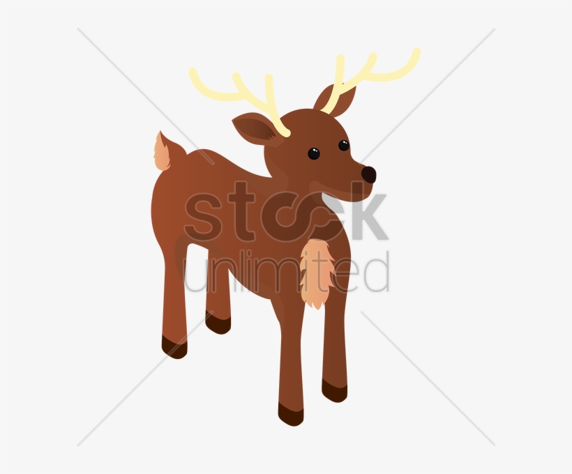 Cattle - Reindeer, transparent png download